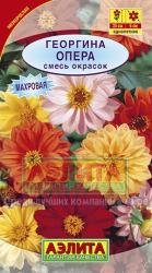 Георгина Опера, смесь (Аэлита)