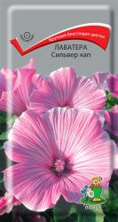 Лаватера Сильвер Кап (Поиск)