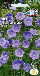 Лён Пилигрим многолетний (СеДеК)