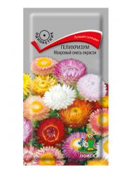 Гелихризум Махровый, смесь (Поиск)