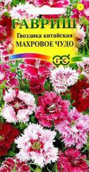 Гвоздика китайская Махровое чудо (Гавриш)