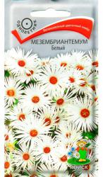 Мезембриантемум Белый (Поиск)