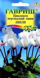 Цикламен персидский Анели мини (Гавриш)