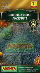 Овсянница сизая Лазурит (Аэлита)