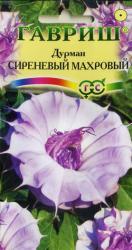 Дурман Сиреневый махровый (Гавриш)