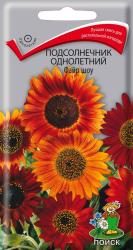 Подсолнечник декоративный Файр шоу (Поиск)