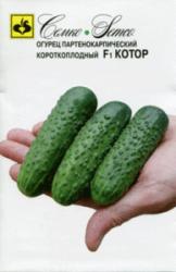 Огурец Котор F1 (Cемко)