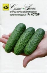 Огурец Котор F1 (Cемко)