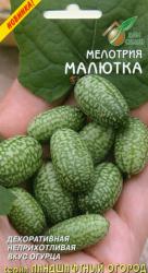 Мелотрия Малютка (Сортсемовощ)