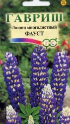 Люпин Фауст многолетний (Гавриш)