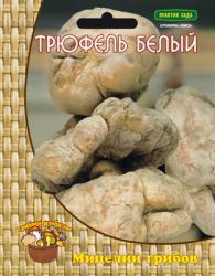 Трюфель белый (Поиск)