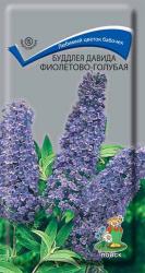 Буддлея Давида фиолетово-голубая (Поиск)