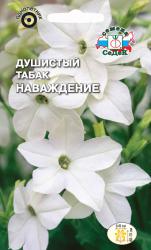 Табак душистый Наваждение (СеДеК)