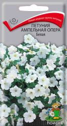 Петуния Опера белая (Поиск)