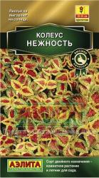 Колеус Блюме Нежность (Аэлита)