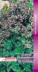 Душица Хуторянка (Поиск)