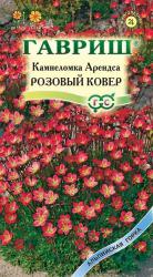 Камнеломка арендса Розовый ковер (Гавриш)