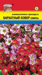 Камнеломка Бархатный ковер, смесь (Урожай удачи)