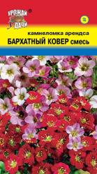 Камнеломка Бархатный ковер, смесь (Урожай удачи)