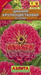 Цинния Крупноцветковая розовая (Аэлита)