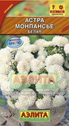 Астра Монпансье белая (Аэлита)