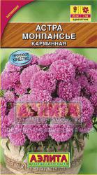 Астра Монпансье карминная (Аэлита)