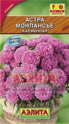 Астра Монпансье карминная (Аэлита)