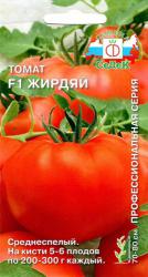 Томат Жирдяй F1 (СеДек)