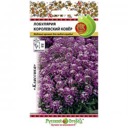 Лобулярия Королевский ковер (Русский огород)