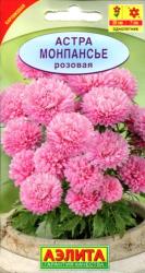 Астра Монпансье розовая (Аэлита)