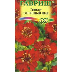 Гравилат Огненный шар (Гавриш)