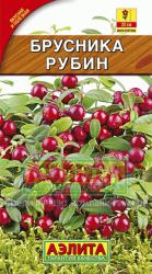 Брусника Рубин (Аэлита) семена