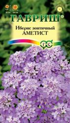 Иберис зонтичный Аметист (Гавриш)
