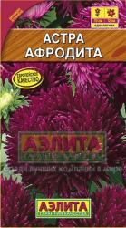 Астра Афродита (Аэлита)