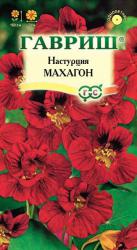 Настурция Махагон (Гавриш)