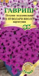 Партитуния Нуволари виолет F1 (Гавриш)