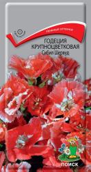Годеция Сибил шервуд (Поиск)