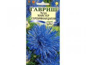 Астра Майстер серебряная цапля (Гавриш)