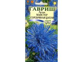 Астра Майстер серебряная цапля (Гавриш)