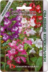 Пенстемон Кобо Свадебные колокольчики (Биотехника)
