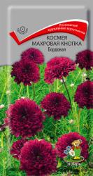 Космея махровая Кнопка бордовая (Поиск)