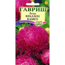 Астра Краллен камео (Гавриш)