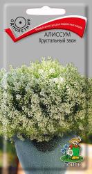 Алиссум Хрустальный звон (Поиск)
