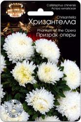 Астра Хризантелла призрак оперы (Биотехника)