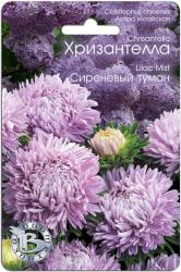 Астра Хризантелла сиреневый туман (Биотехника)