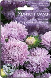 Астра Хризантелла сиреневый туман (Биотехника)
