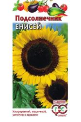 Подсолнечник Енисей (Гавриш)