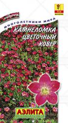Камнеломка Цветочный ковер (Аэлита)
