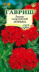 Лихнис халцедонский Зорька (Гавриш)
