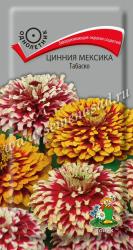 Цинния Мексика табаско (Поиск)